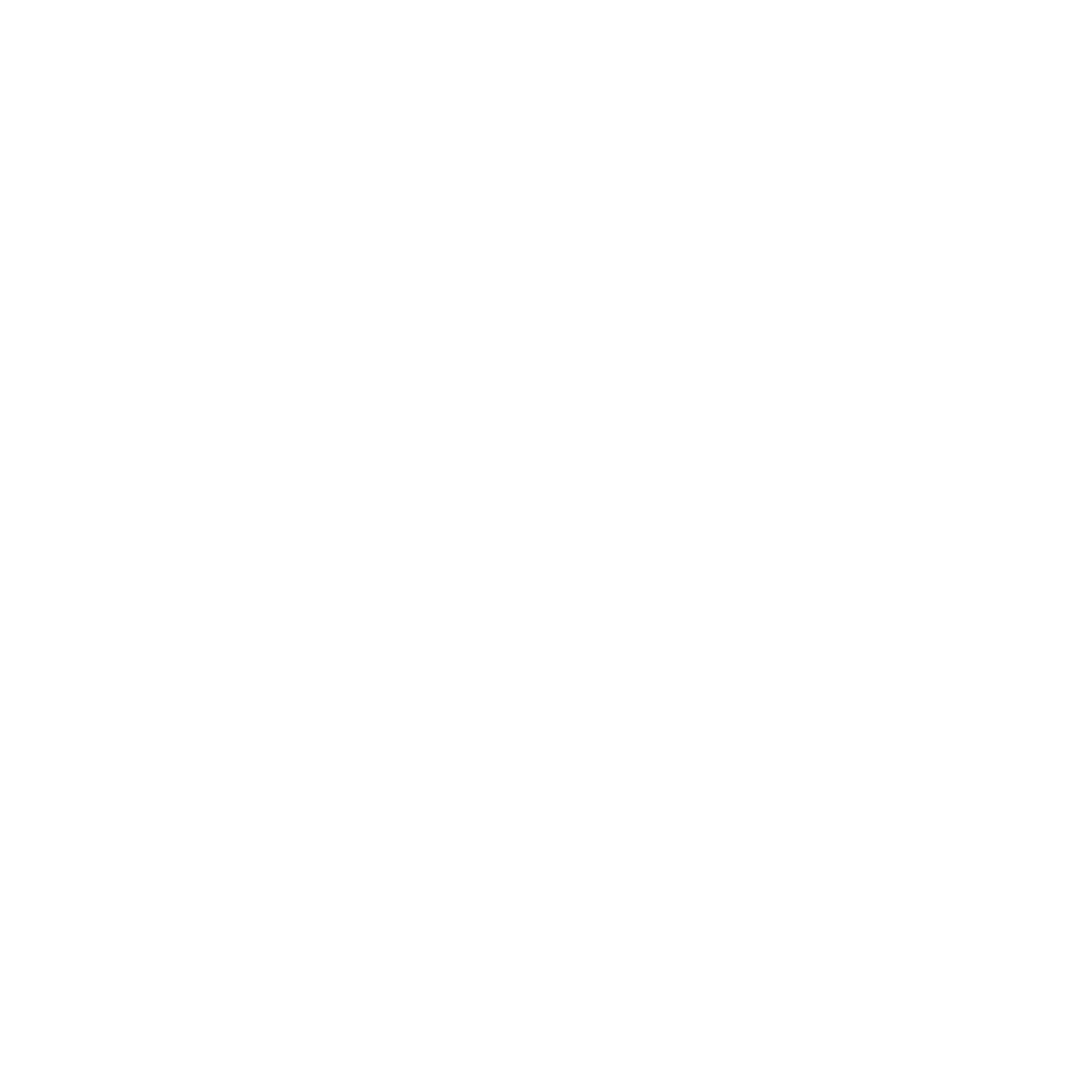 MINT-Logo